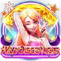Wild Disco Night