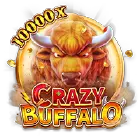 Crazy Buffalo