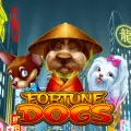 Sgfortunedogs