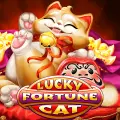Sgluckyfortunecat