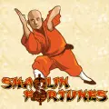 Sgshaolinfortunes243