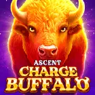 Charge Buffalo