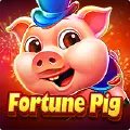 Fortune Pig