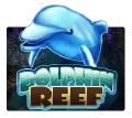 Dolphin Reef