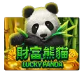 Lucky Panda