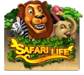 Safari Life