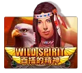Wild Spirit