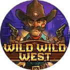 Wild Wild West