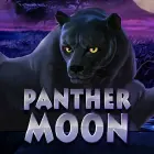 Panther Moon