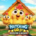 Hatching Gold Roasters Riches