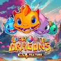 Lucky Little Dragons