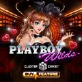 Playboy Wilds