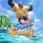 Surf Monkey