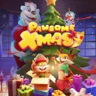 Raccoon Xmas