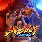Muay Thai Champion