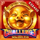 Golden Pig Challenge
