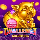 Golden Pig Challenge