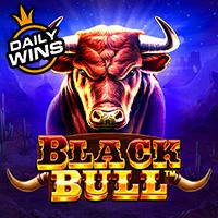 Black bull