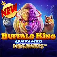 Buffalo Kings Untamed Megaways