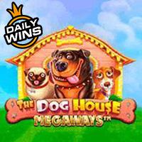 Waysdogs