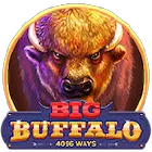 Big Buffalo