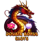 Double Bonus Slots