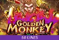 Golden Monkey